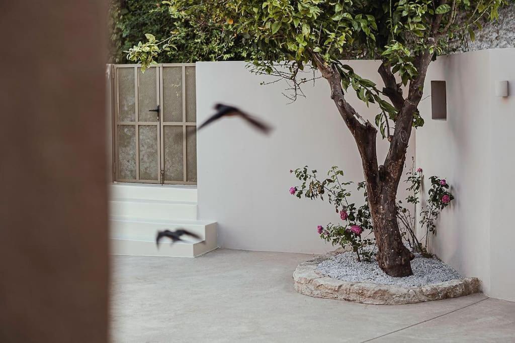 Lotusland, A Relaxing House At Amari Rethymno Villa Agia Fotini  Exteriör bild